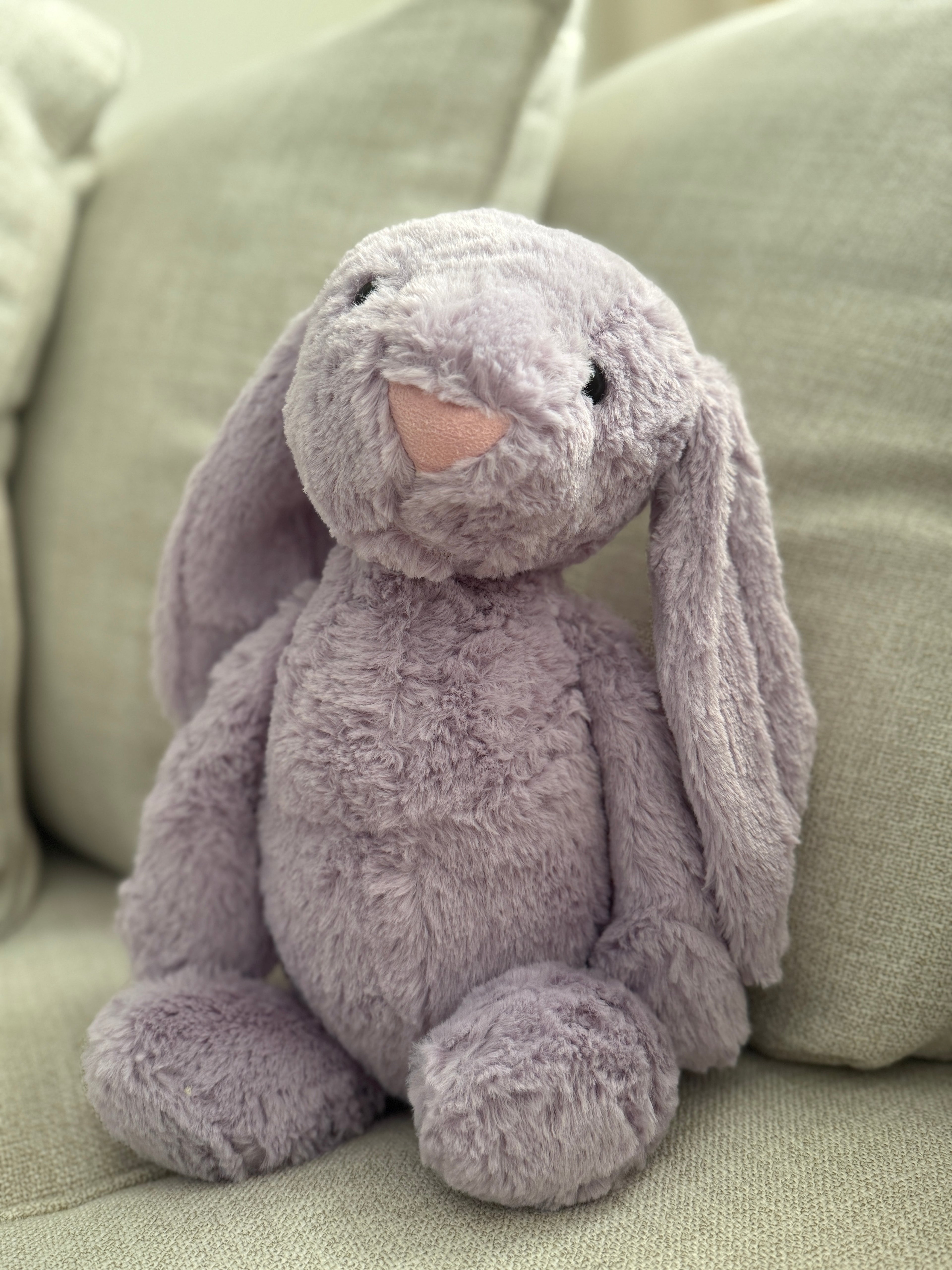 Custom Plush Bunny
